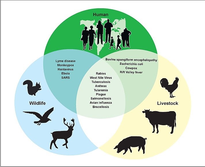 Zoonotic Diseases(Zoonosis) - JournalsOfIndia