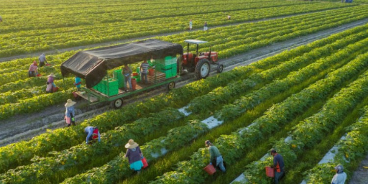 Difference Between Farming System And Integrated Farming System