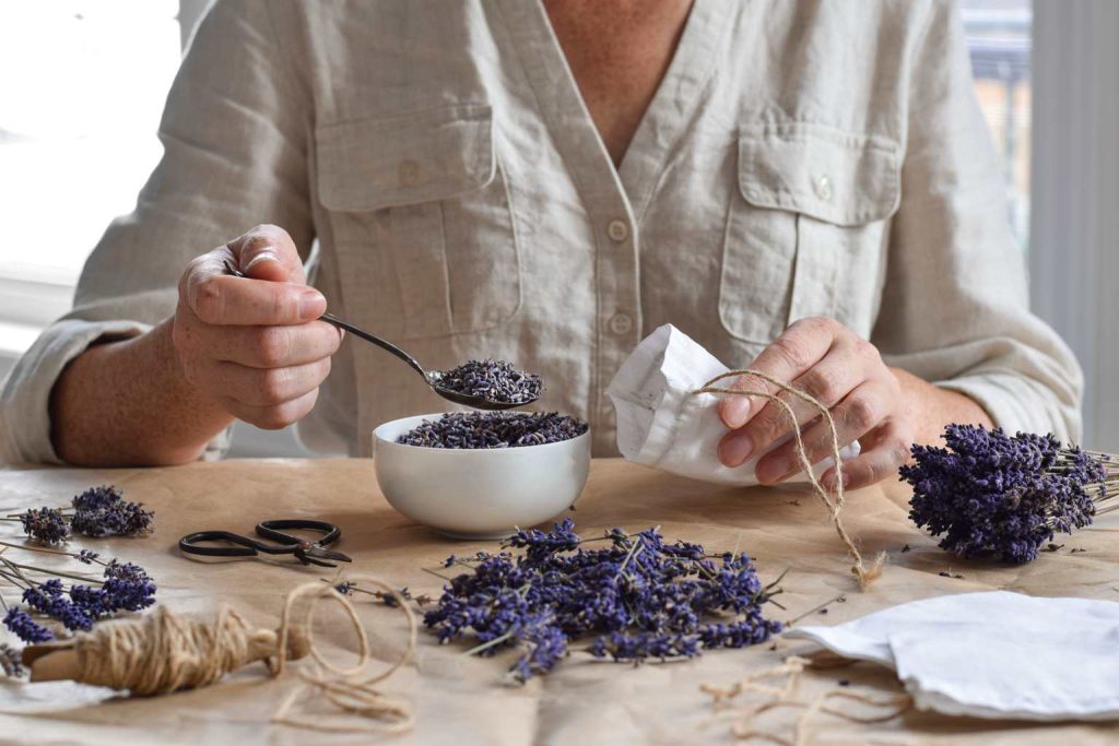 How to dry fragrant lavender flowers and make the most of your harvest