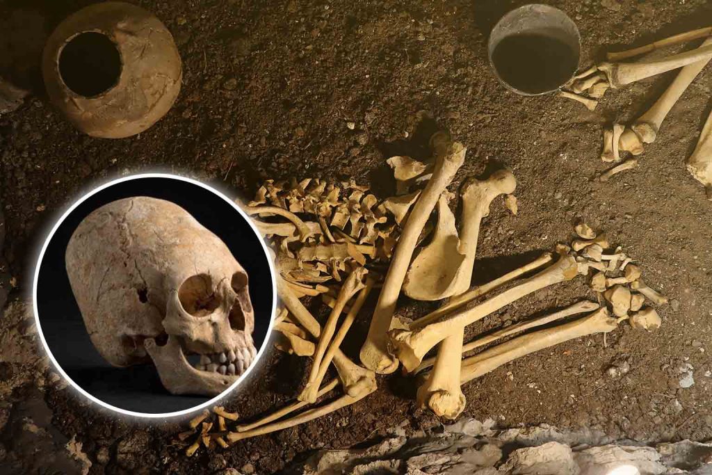 6,200-year-old girl’s skull reveals surprising truths about ancient cranial practices