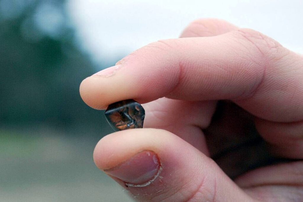 A man finds a 7.46-carat diamond at a national park and instantly becomes a millionaire