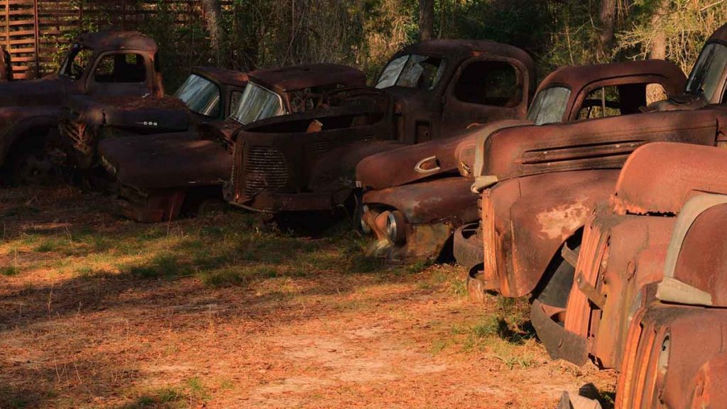American man buys abandoned farm and discovers dozens of hidden classic cars left to rust