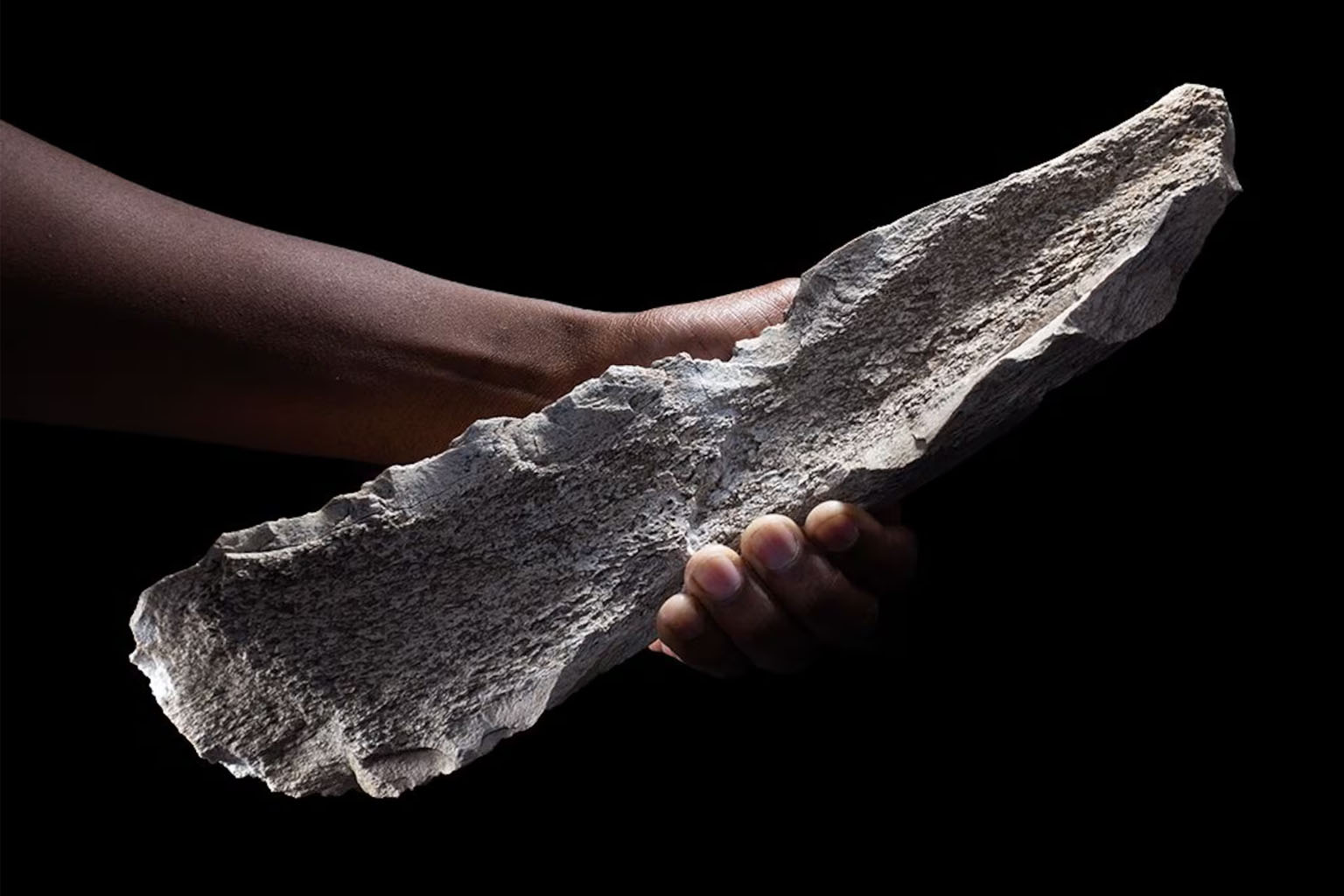 old tools reshaping our view of early human life in the desert