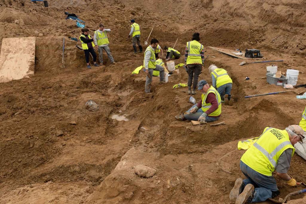 Construction workers uncover massive fossil trove beneath high school revealing an ancient marine world from 8.7 million years ago