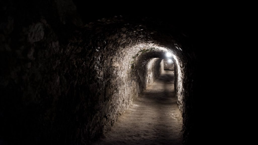 Construction workers uncover six centuries-old shipwrecks during Swedish tunnel project unveiling maritime history