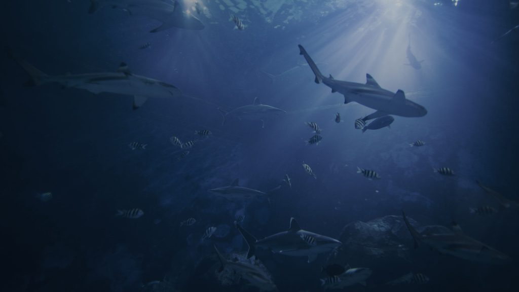 Discovery of Earth’s oldest living creature reveals a 700-million-year-old species that reshapes our understanding of evolution and animal origins