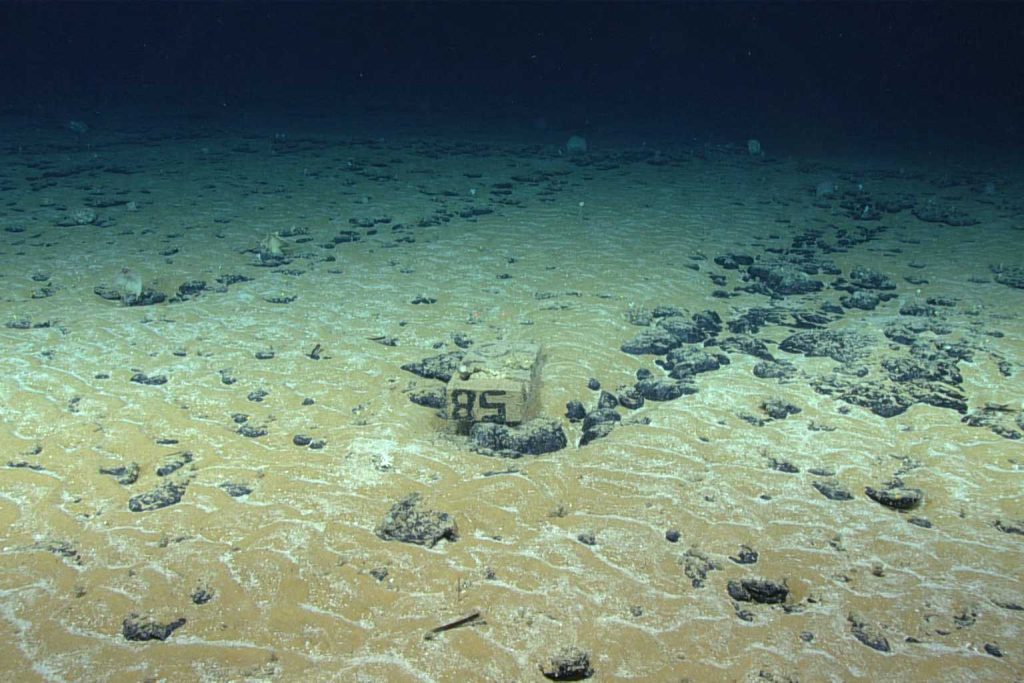 Europe reveals the largest treasure ever discovered beneath the ocean—with nearly 45,000 tons extracted each year