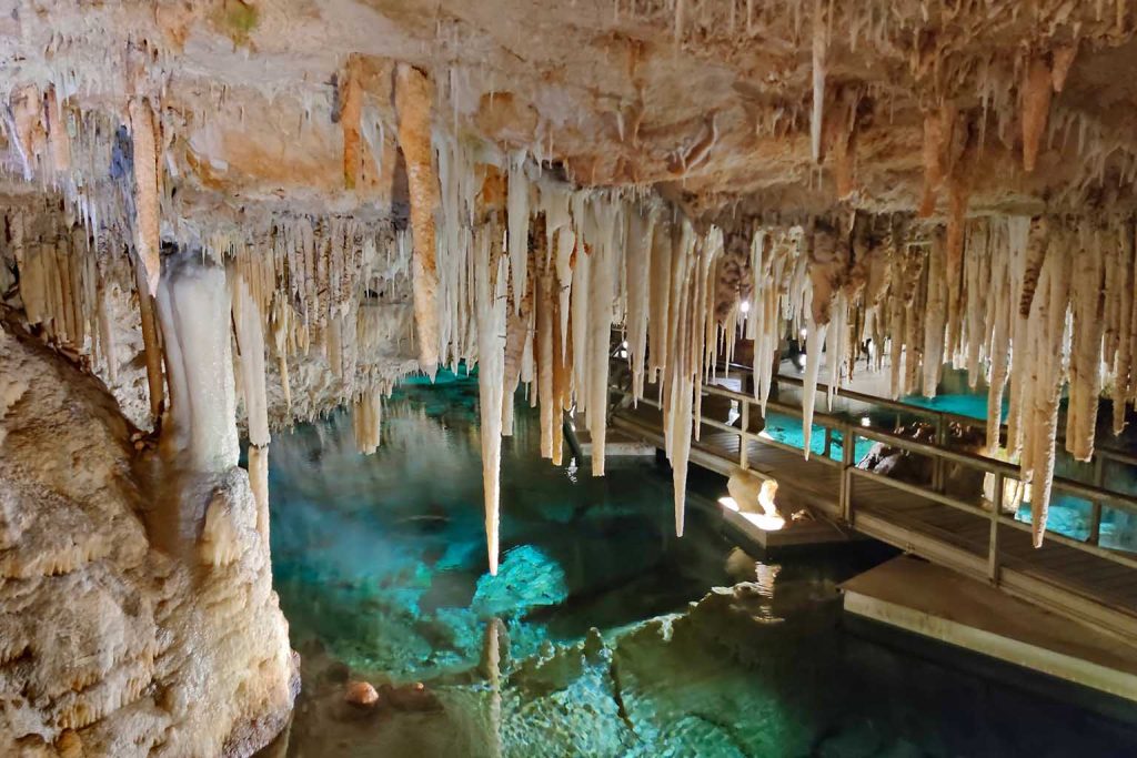 Explorers discover a mysterious new species lurking deep inside a Bermuda cave