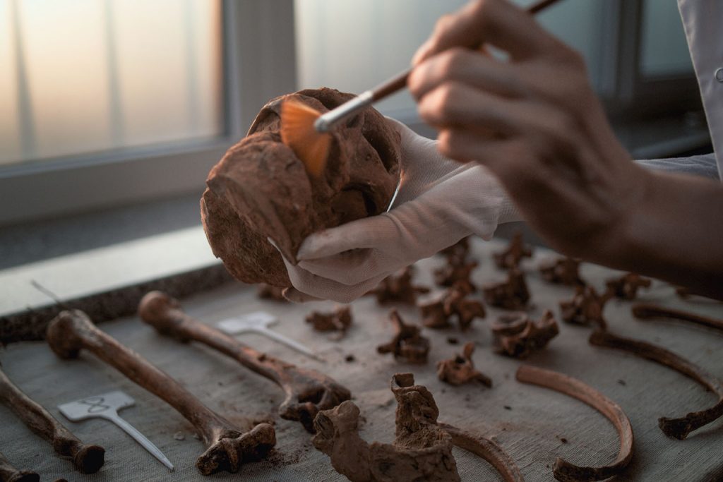 New protein extraction method uncovers hidden health secrets in ancient human remains