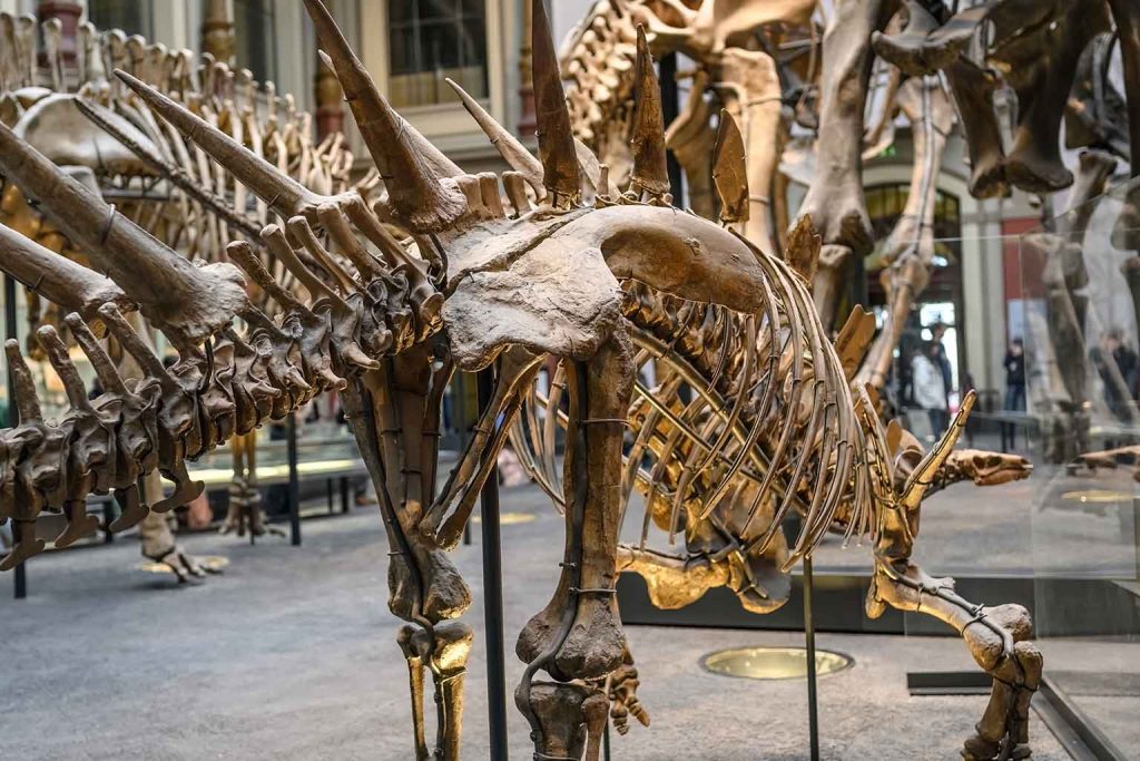 Paleontologists discover a hidden dinosaur muscle that rewrites what we know about their anatomy and evolution
