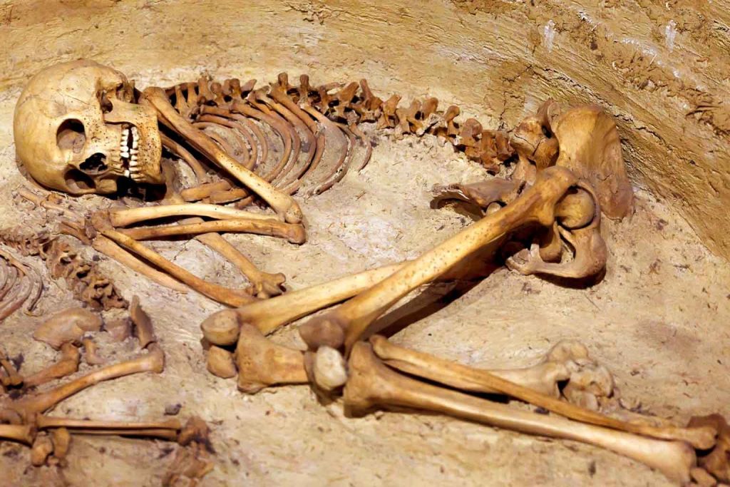 Rare medieval bed burials are unlocking hidden chapters of Europe’s mysterious past