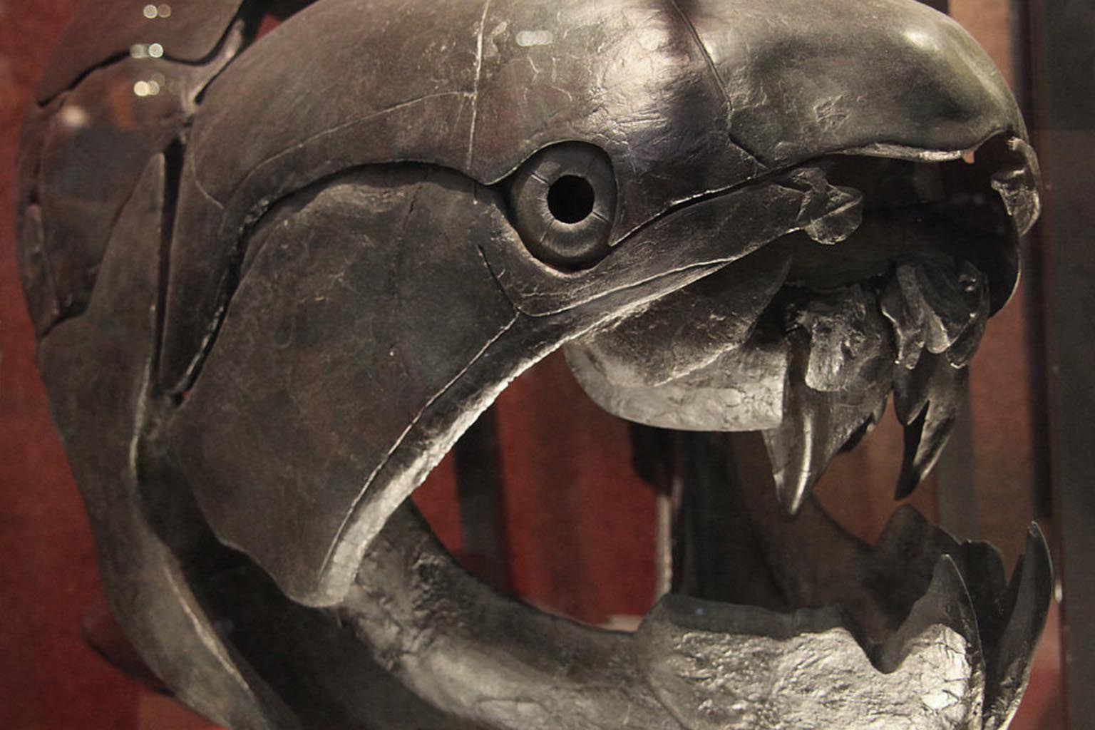 Scientists reveal surprising link between human teeth and 460