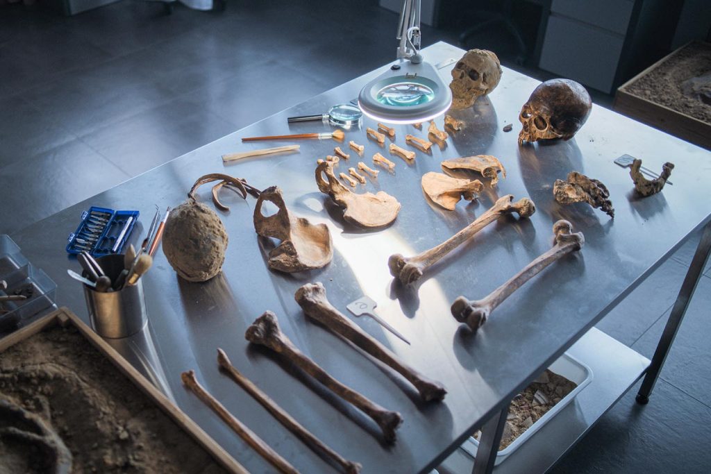 Scientists uncover bones of a new extinct species hidden deep in a Cuban cave