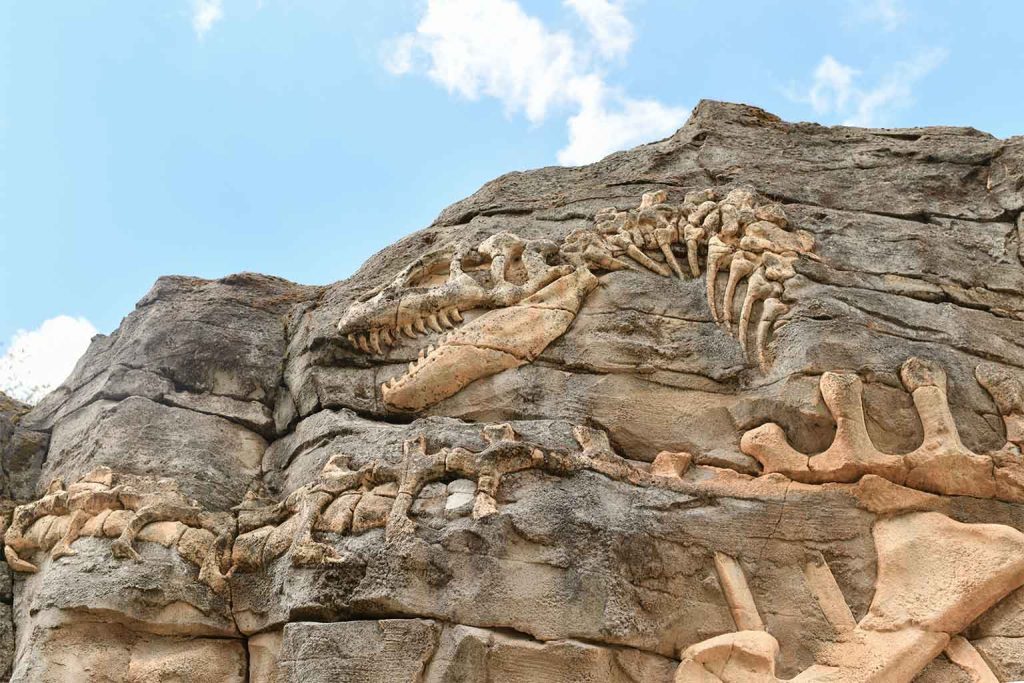 Scientists uncover massive dinosaur bone graveyard with thousands of perfectly preserved fossils