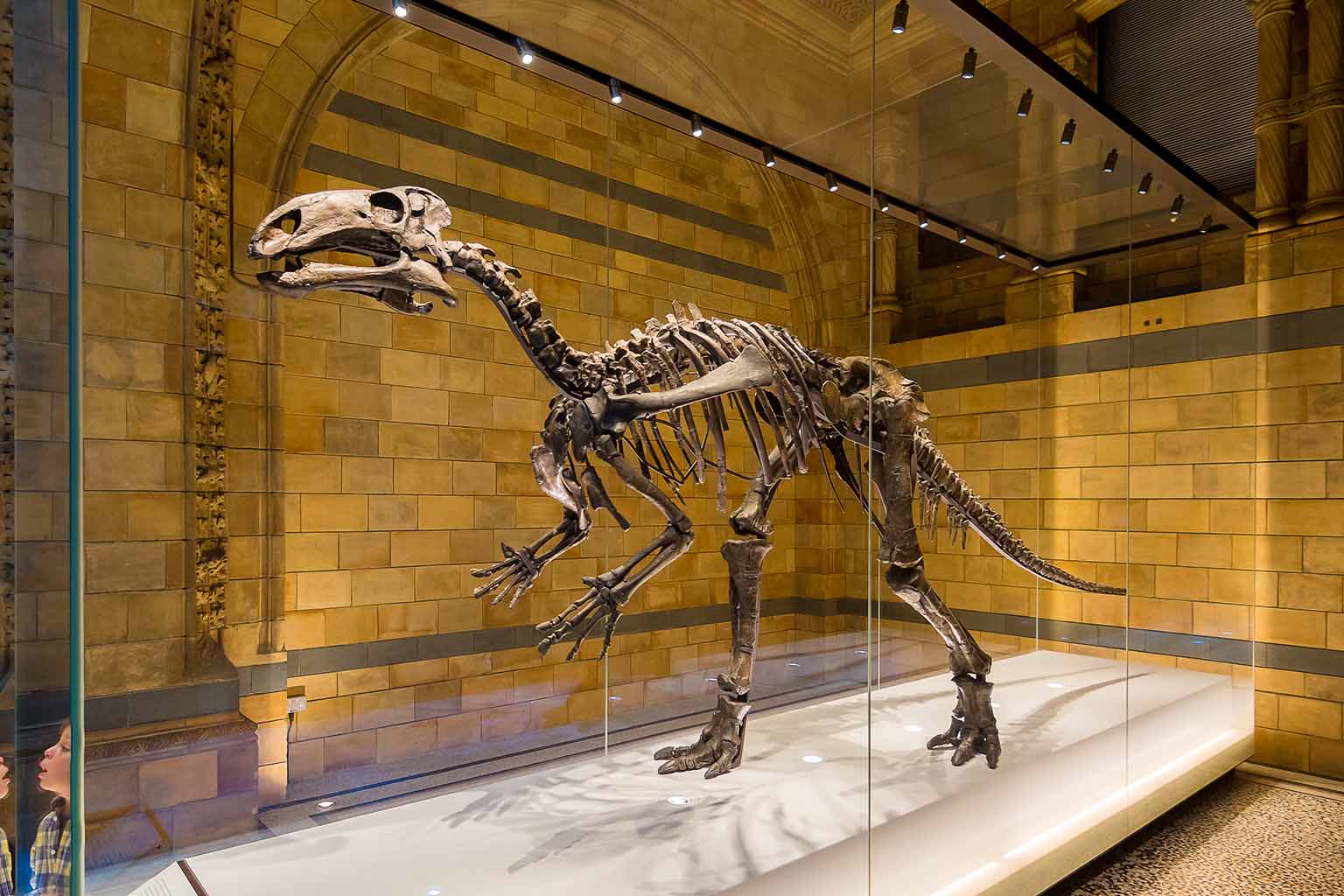 Groundbreaking Dinosaur Fossil Discovery Unveils Jurassic Secrets on Isle of Skye - Article illustration from Journals Of India