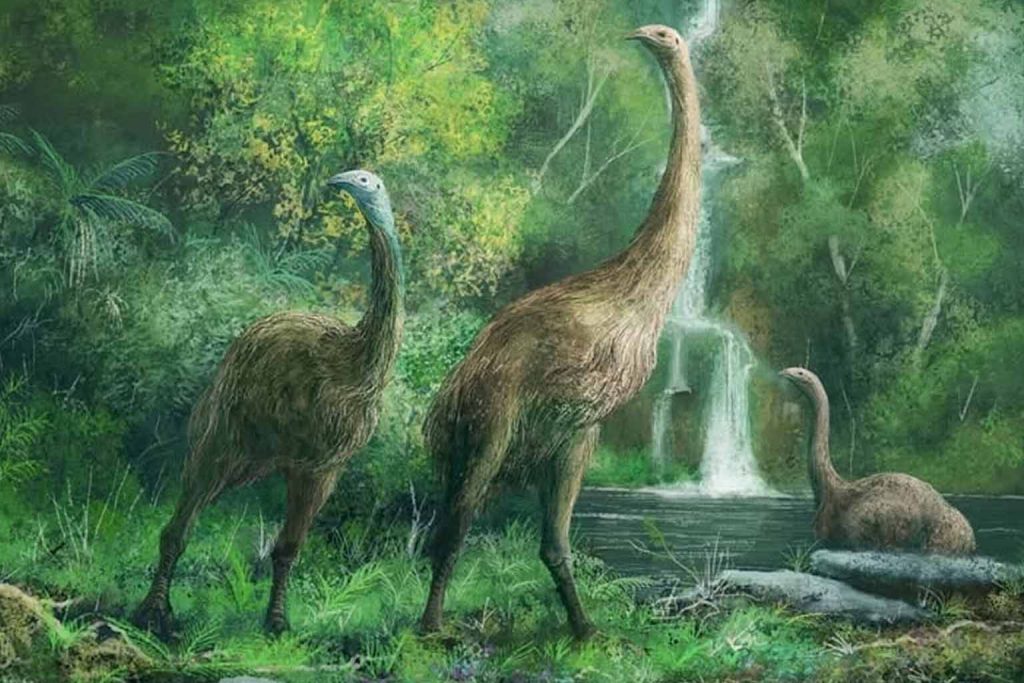 Scientists unveil the tallest bird in history that towered over a giraffe