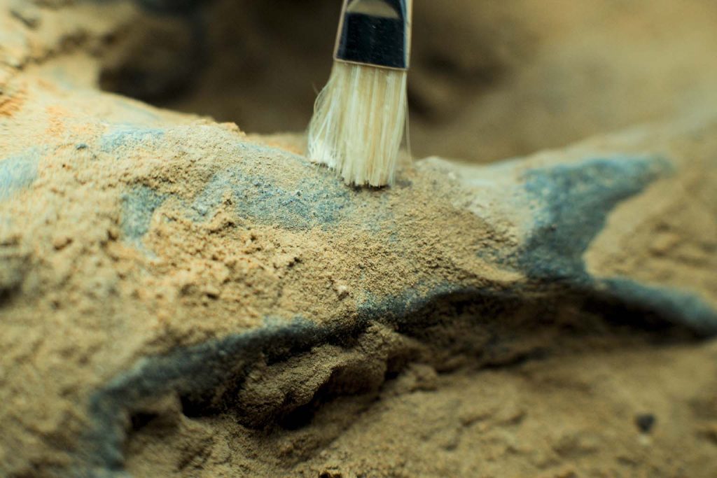 This forgotten Illinois trash hill may rewrite the story of prehistoric life with its incredible fossils