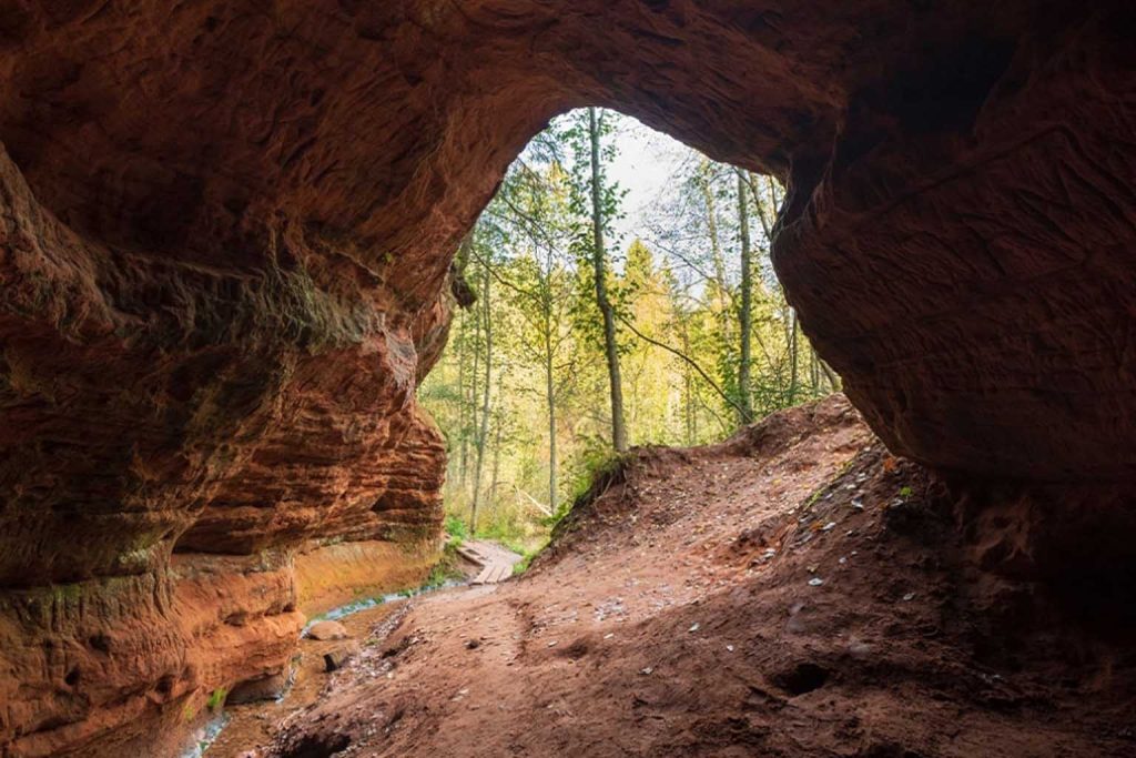 A bone-chilling discovery in Maszycka Cave reveals unsettling truths about prehistoric human behavior and cannibalism