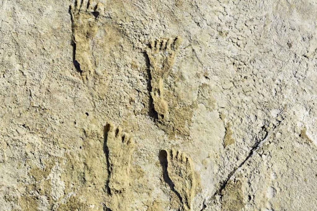 Ancient New Mexico footprints reveal earliest known human activity in North America