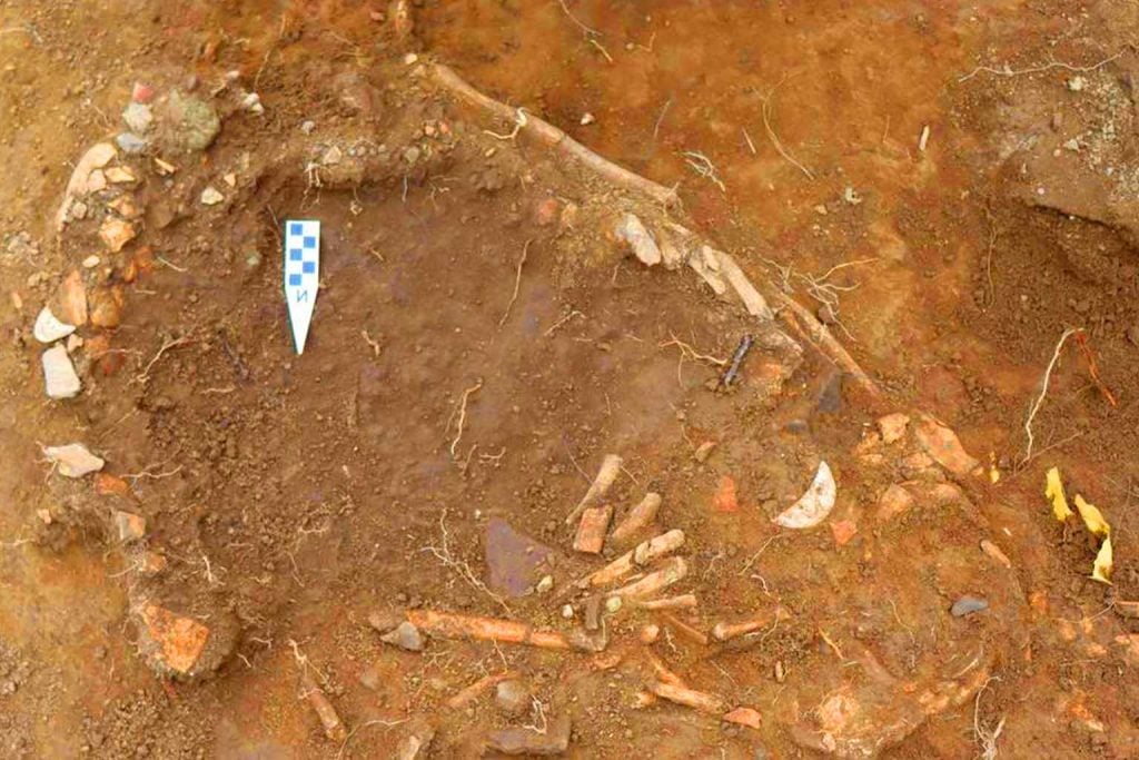 Ecuador archaeological find: Pre-Columbian burial suggests lost rituals, possible sacrifices