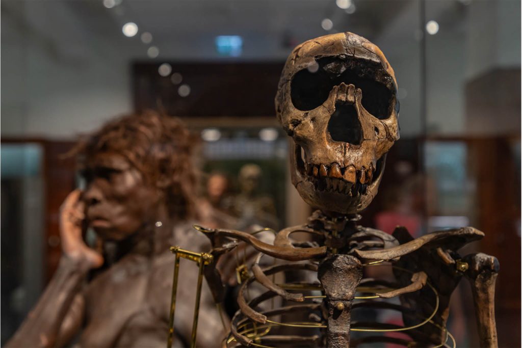 Jawbone from ocean floor hints at long-lost human species in Taiwan