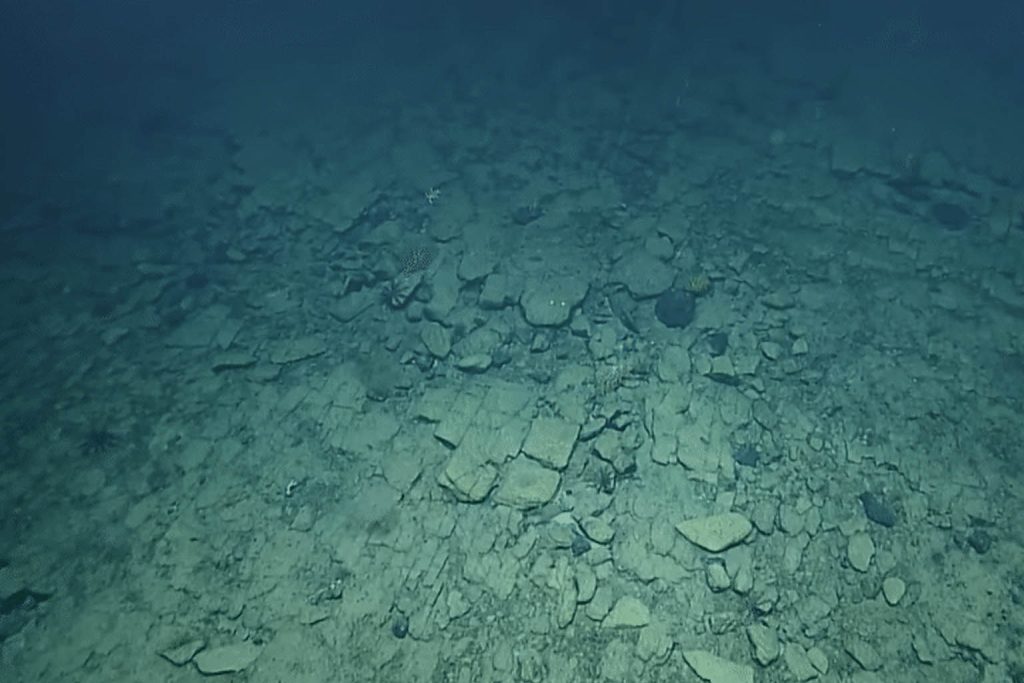 Mysterious ‘Yellow Brick Road’ Found in the Depths of the Pacific Ocean