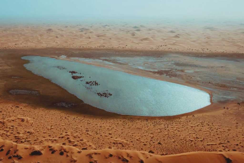 5,000-year-old whale hunting evidence discovered by archaeologists in Brazil