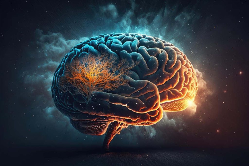 Brain function study: researchers identify causes of sudden memory loss