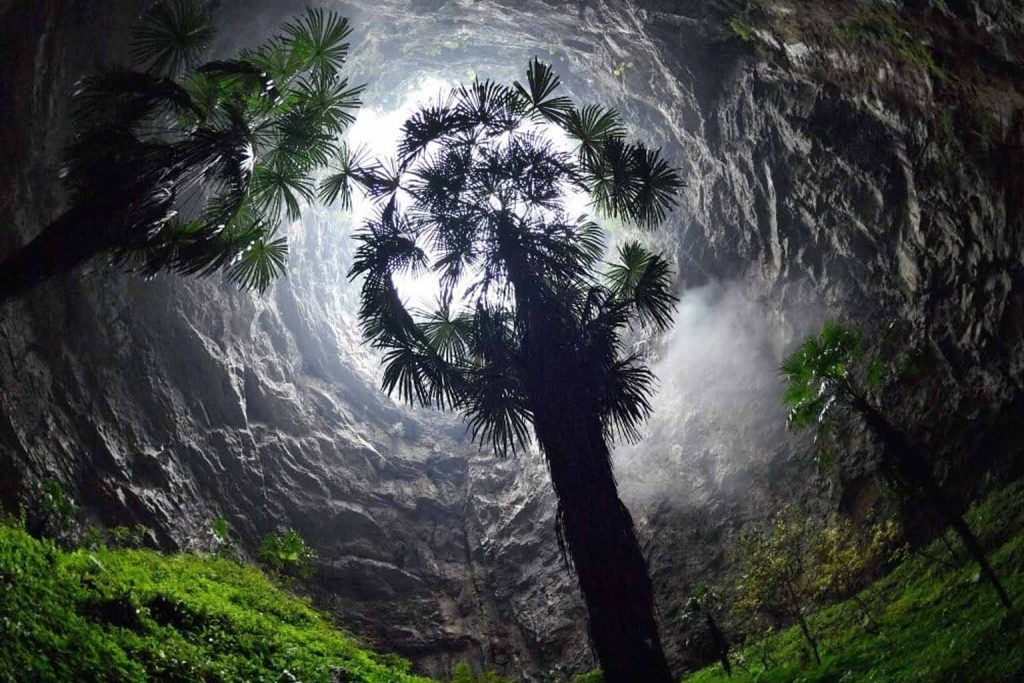 Chinese sinkhole discovery: ancient forest found intact after millennia