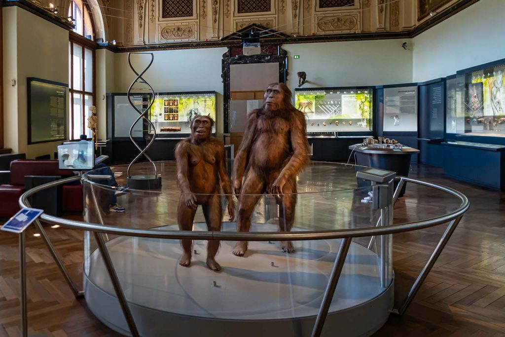 Hominin Migration: Evidence Suggests Earlier Departure from Africa Than Previously Thought