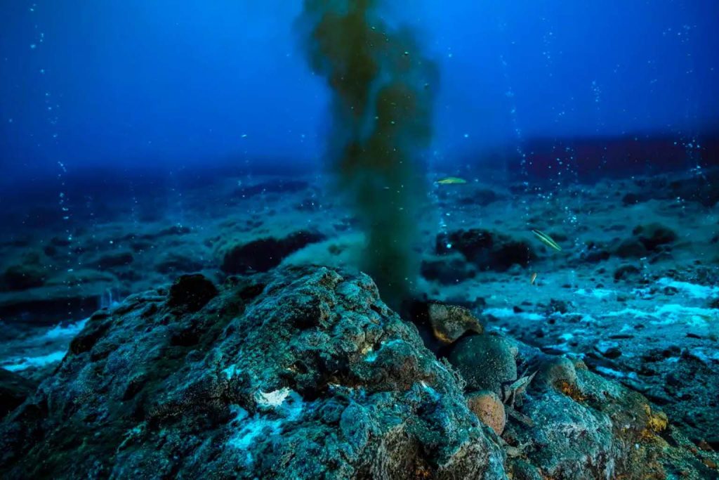 Underwater volcano discovery: scientists find heat source and a million eggs