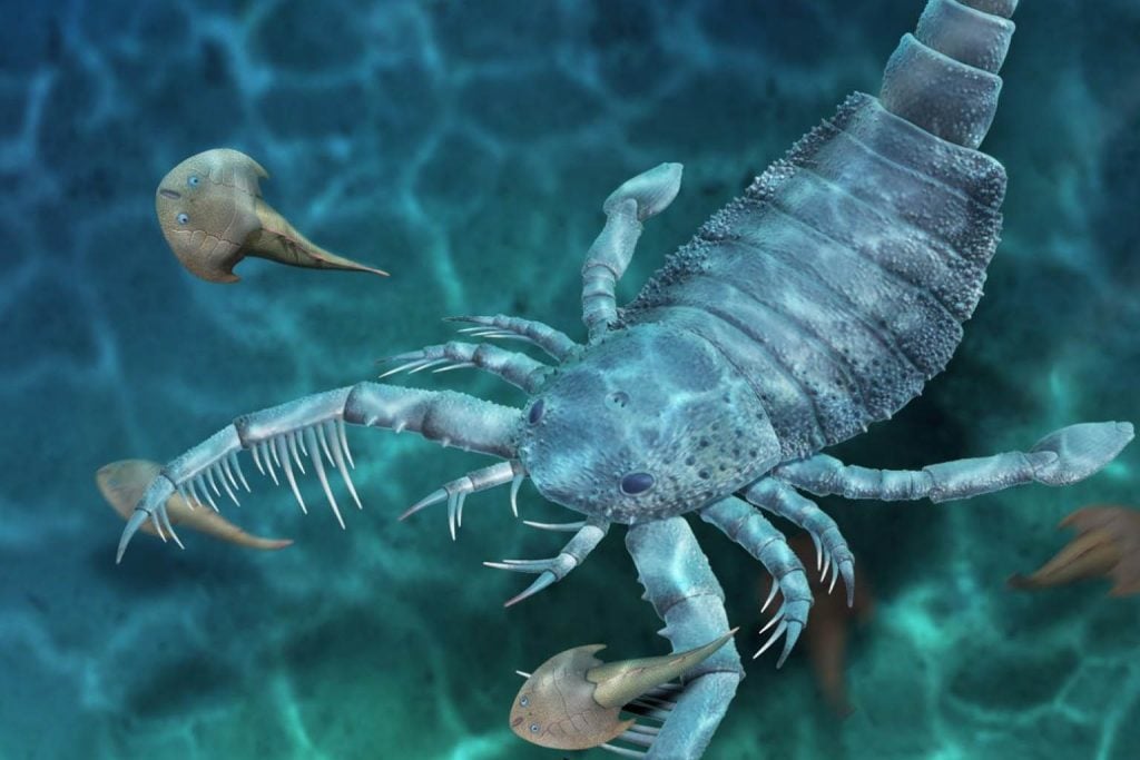 Venomous scorpion fossil from 125 million years ago found in China